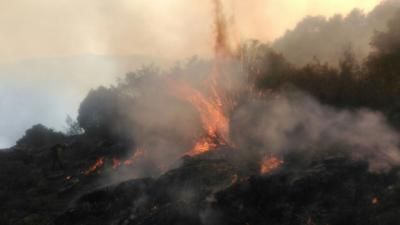 Extinguido el incendio originado en el Real de San Vicente