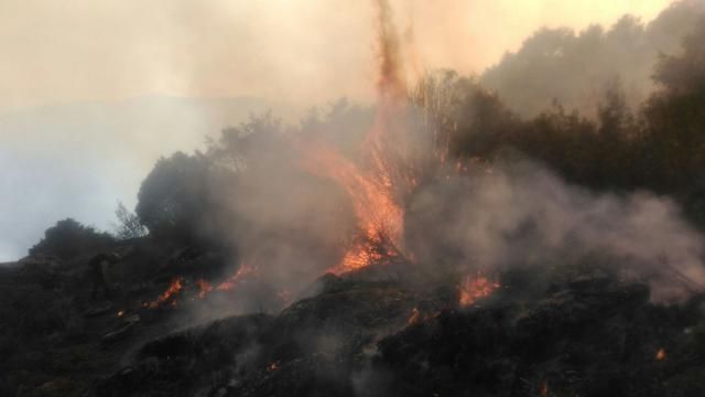 Extinguido el incendio originado en el Real de San Vicente (Toledo)