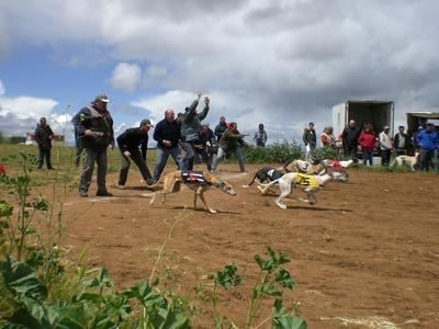 'Una mañana de perros' en San Martín de Montalbán