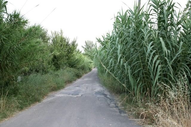 El Ayuntamiento sigue con las labores de desbroce en diferentes caminos de la ciudad