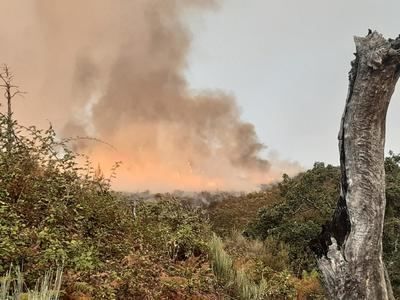 Trabajan en la extinción de un incendio en Villanueva de la Vera