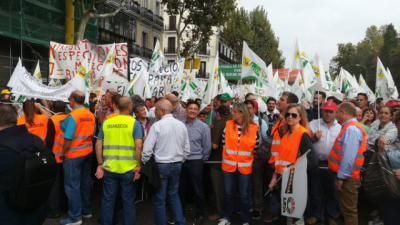 FOTOS | Miles de agricultores reclaman en Madrid "precios justos por un olivar vivo"