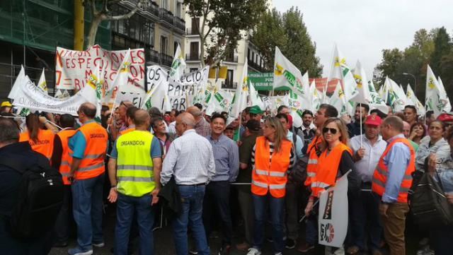 FOTOS | Miles de agricultores reclaman en Madrid 'precios justos por un olivar vivo'