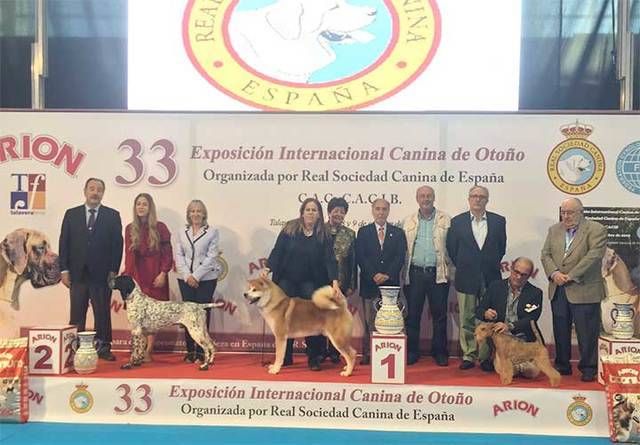 Macarena Rueda, mejor presentador joven de la 33 Exposición Canina