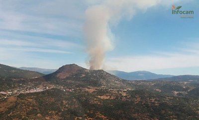 FUEGO | 10 medios y 42 personas en la extinción de un incendio en El Real de San Vicente