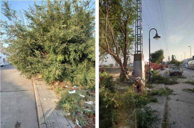 TALAVERA | El Ayuntamiento acondiciona la calle Paralela