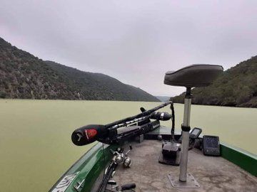 FOTOS | Impactantes imágenes del Tajo teñido de verde por una planta invasora