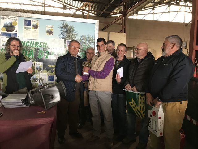 150 participantes en el ‘XXVI Concurso de Poda del Olivo’ de Madridejos