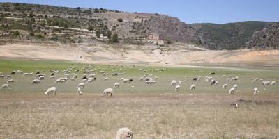 Entrepeñas y Buendía ya están por debajo del 10 por ciento de su capacidad