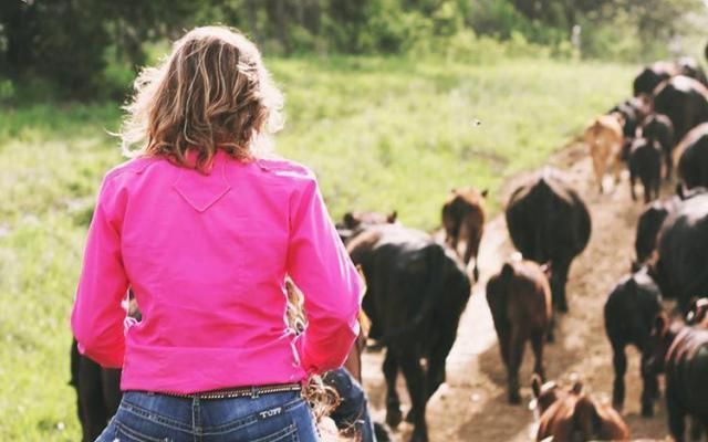 El Estatuto de la Mujer Rural de CLM entrará en vigor en 20 días