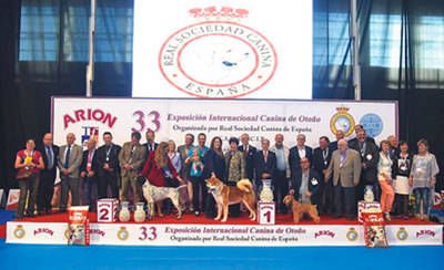 Gran éxito de la XXXIII Exposición Internacional Canina en el Ferial de Talavera