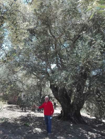 Una joya de la naturaleza rural