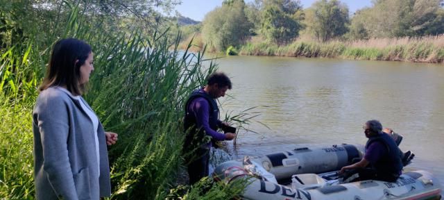 Talavera refuerza la lucha contra los mosquitos de cara a las Ferias de San Isidro