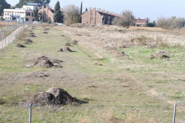 Real Fundación de Toledo insta a las administraciones a trabajar para cerrar 'la herida cultural' que supone Vega Baja