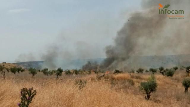 Incendio Toledo: 26 medios y 86 personas luchan contra el fuego