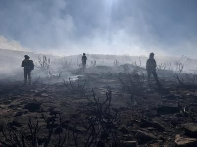 Estabilizado y sin llama el incendio forestal en Ávila