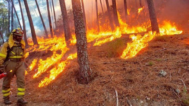 El fuego obliga a desalojar la urbanización 'El Picadero', en Pedro Bernardo