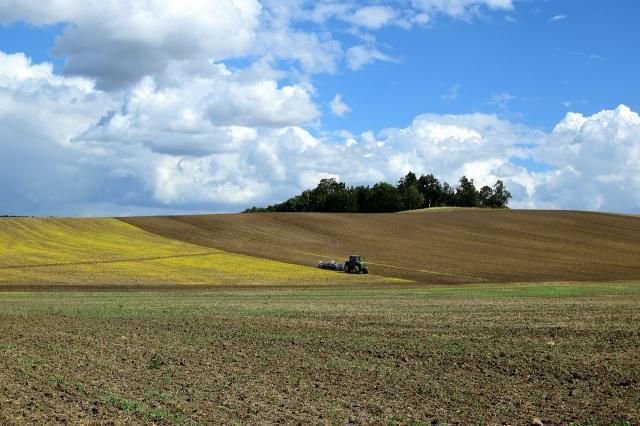 CLM abona casi 85 millones de euros de la PAC a la provincia de Toledo