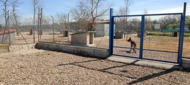 TALAVERA | ‘Reforma integral’ en el Centro Municipal de Acogida de Animales