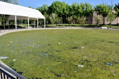 El PSOE insta al equipo de Gobierno a limpiar los lagos de la Alameda “antes de que se convierta en un problema de salud”