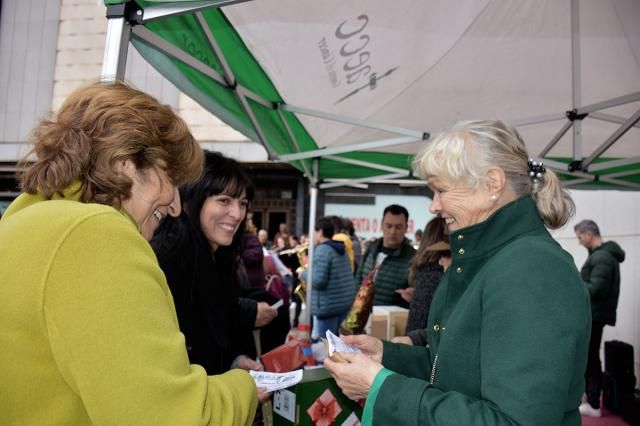 IX Edición de Villancicos Solidarios de Talavera