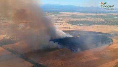 Trabajan en la extinción un incendio forestal en la zona de Los Cerralbos