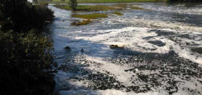 El Tajo contaminado por plaguicidas tóxicos que afectan a la salud humana y animal