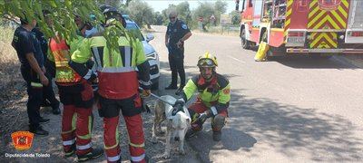 Final feliz en Talavera: el rescate de un perro en el canal del Alberche