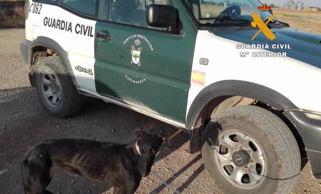 Un hombre halla un cuerpo sin vida cerca del lugar donde buscaban a un cazador desaparecido