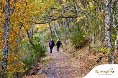 REPORTAJE | Descubre la riqueza natural de Castilla-La Mancha