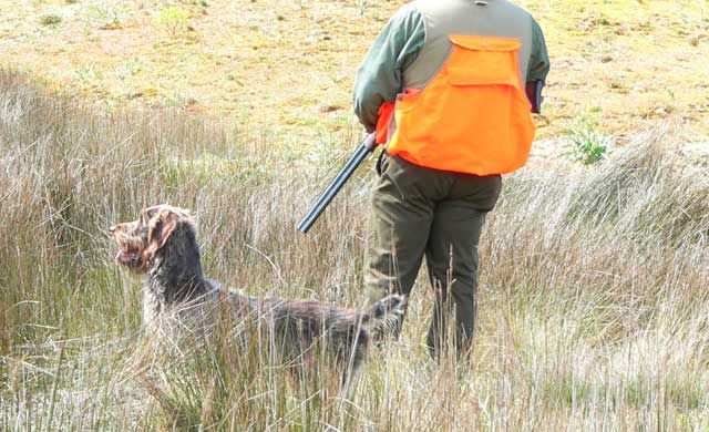 La Federación de Caza de CLM dicen que la Ley de Bienestar Animal 'ataca' a la caza