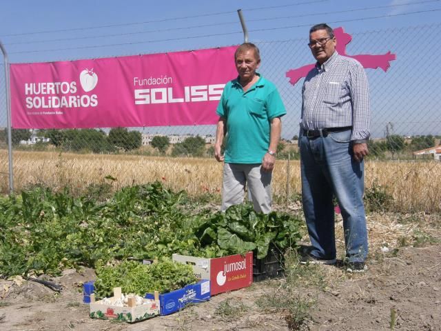 La Red de Huertos Solidarios de la Fundación Soliss produjo 2 Toneladas de alimentos frescos beneficiando a 6.000 personas en riesgo de exclusión  