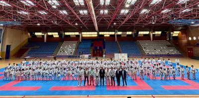 Arranca el II Clinic Internacional de Karate en Talavera