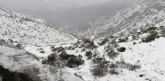 CUARENTENA | La nieve cubre el Puerto del Pico 