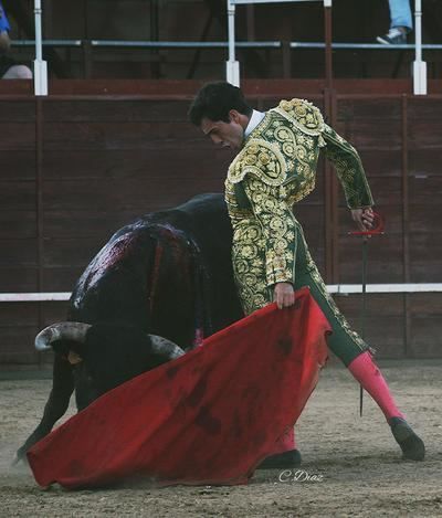 Tomás Rufo encara su alternativa con un festejo muy especial en Borox