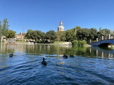 Los vecinos de Talavera podrán acceder a 189 actividades y cursos 