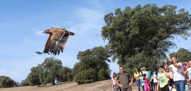 Cinco centros tratan a estas ‘especies vulnerables’ y realizan actividades de educación ambiental.