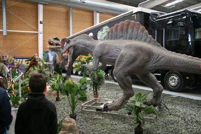 Más de 8.000 personas pasan por Talavera Ferial para ver la exposición de Dinosaurios