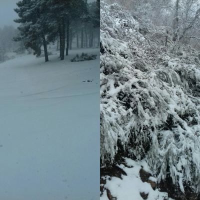 La nieve vuelve a El Piélago (IMÁGENES)