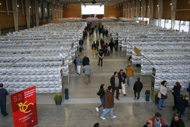 Satisfacción total en el 52º Campeonato Ornitológico de España celebrado en el Ferial