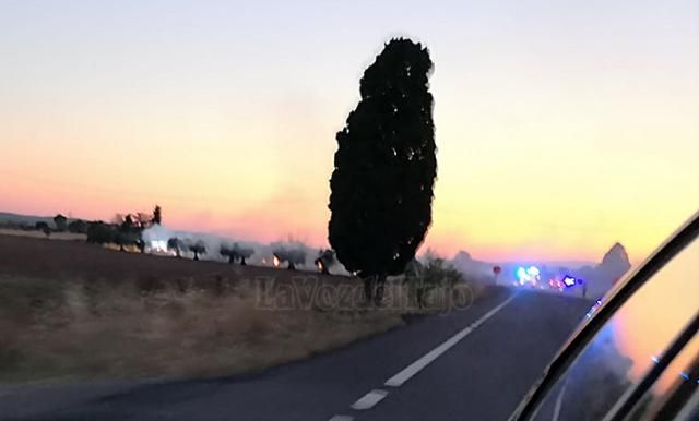 OTRO INCENDIO | Arde un olivar entre Montearagón y Cebolla (Toledo)