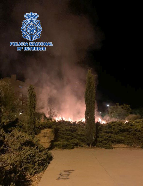 Sorprenden a cuatro menores quemando varios árboles en el barrio de Santa María de Benquerencia