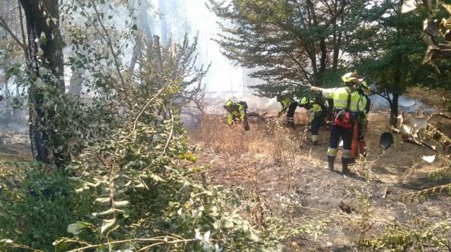 Se reaviva el fuego en la isla de los Molinos de arriba en Talavera (FOTOS)