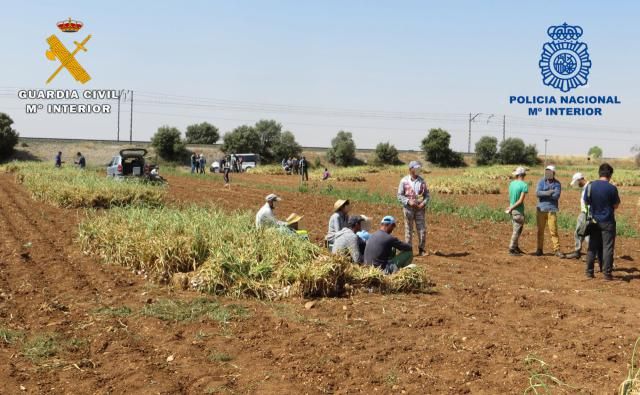 AGRICULTURA | Inspecciones de trabajo en el campo