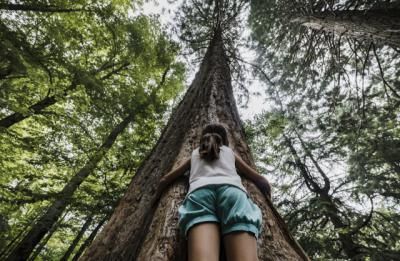 CaixaBank apoya 78 proyectos de mejora del patrimonio natural en toda España