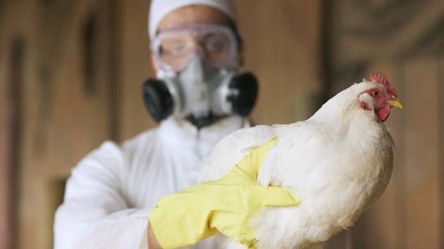 En Guadalajara: Primer caso detectado en España de gripe aviar H5N1 en humanos