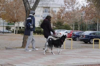 REGIÓN | En medio año, la ley de bienestar animal