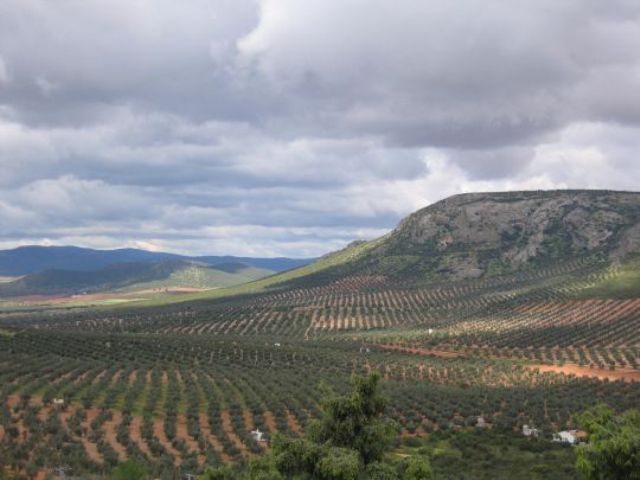 La Pedriza | Herencia | Archivo 