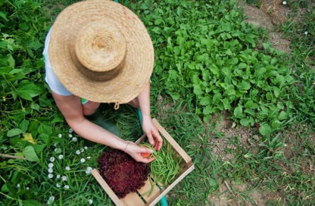 El Estatuto de la Mujer Rural se aprueba este martes