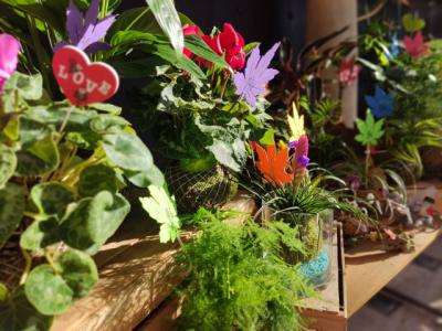 No te pierdas este sábado el segundo Mercado de Flores